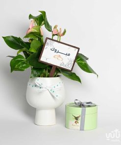 هدية الزواج نبتة الانتوريوم و تشوكلت مغلف