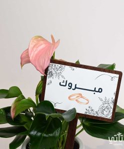 هدية الزواج نبتة الانتوريوم و تشوكلت مغلف