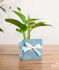 هدية نبتة البوتس و دفتر