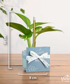 مقاسات هدية نبتة البوتس و دفتر