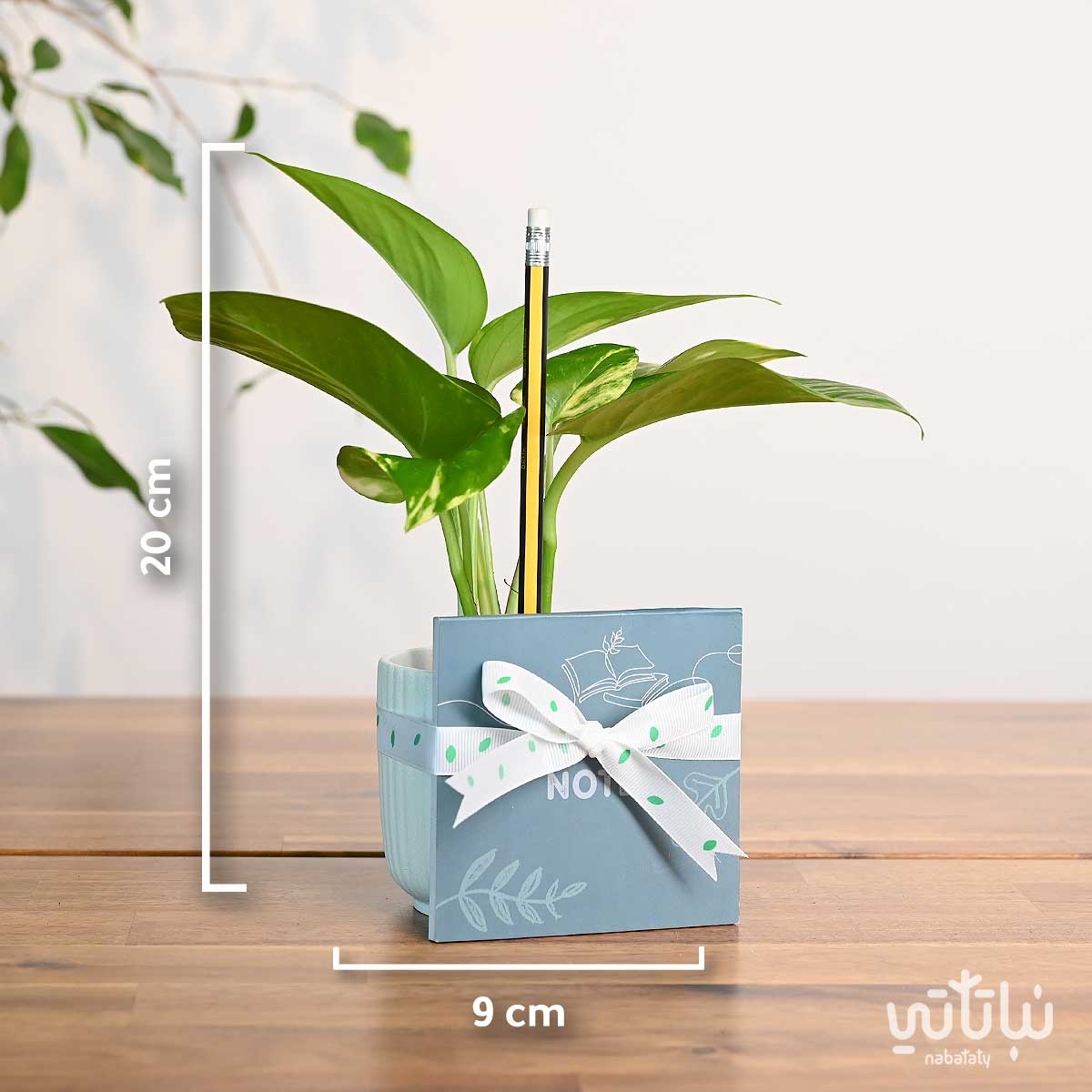 مقاسات هدية نبتة البوتس و دفتر