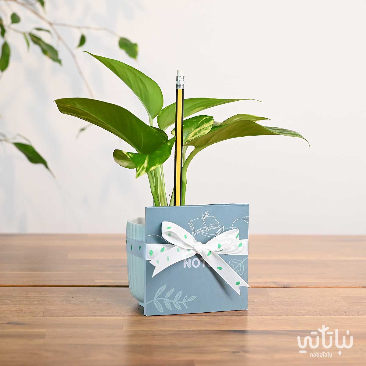 هدية نبتة البوتس و دفتر