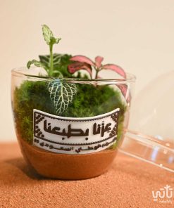 حديقة الفيتونيا عزنا بطبعنا