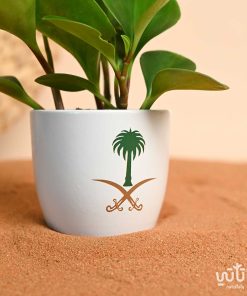 نبتة الببروميا ثيم اليوم الوطني