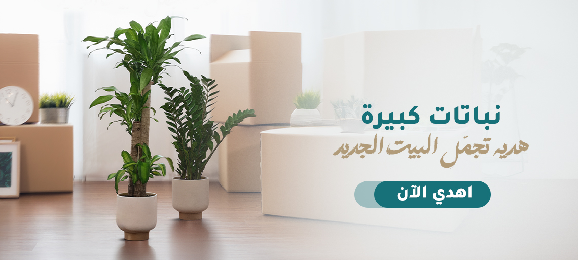 نباتات كبيرة