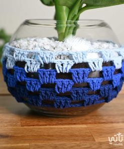 نبتة اجلونيما في اصيص زجاجي ثيم شتوي