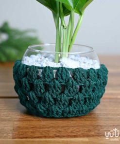 نبتة البوتس في اصيص زجاجي ثيم شتوي اخضر