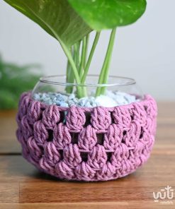 نبتة البوتس في اصيص زجاجي ثيم شتوي وردي