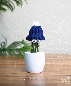 نبتة صبار صغيرة مع قبعة زرقاء