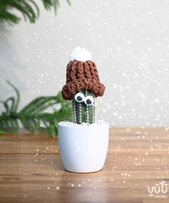 نبتة صبار صغيرة مع قبعة بني