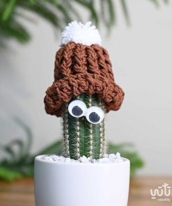 نبتة صبار صغيرة مع قبعة بني