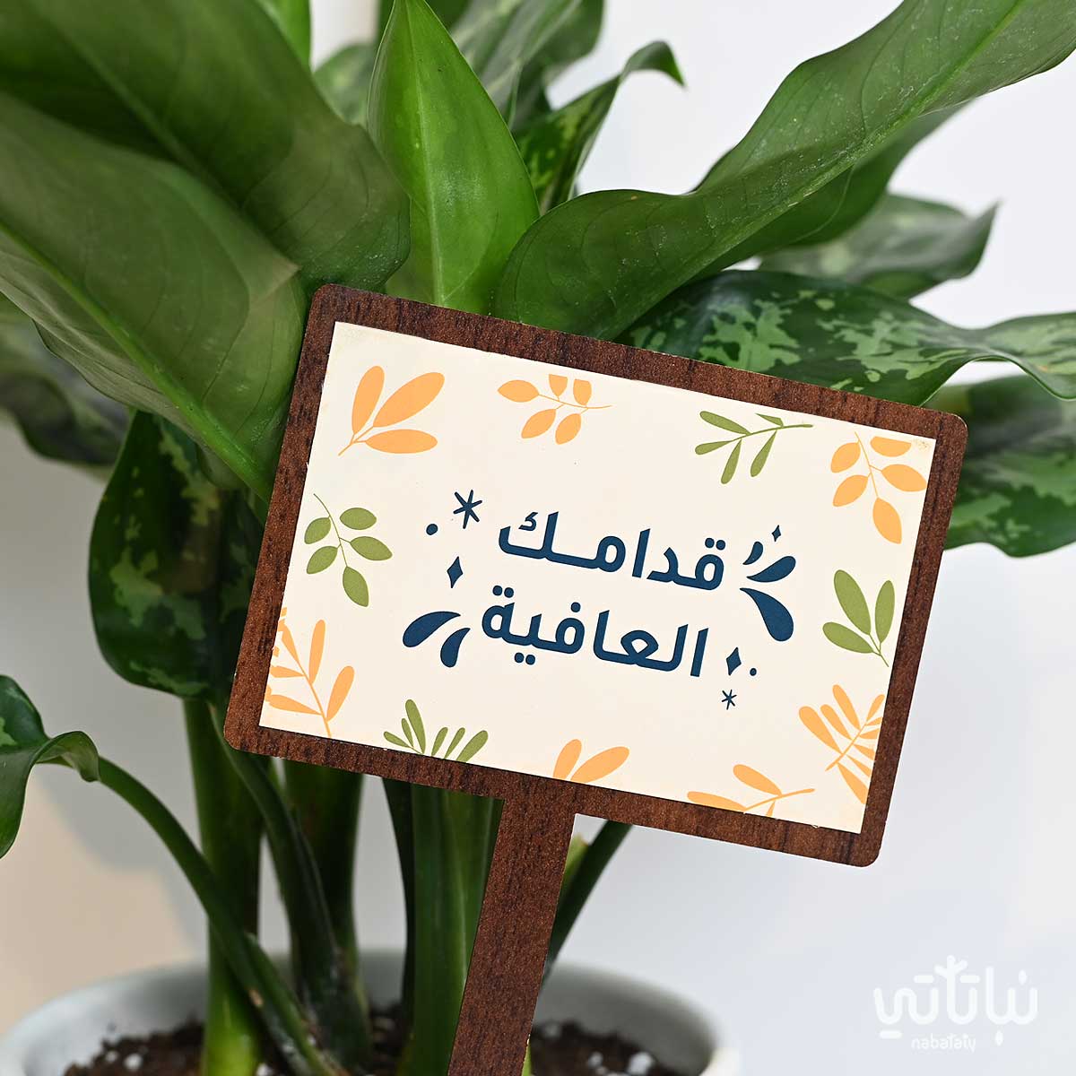 تغريسة خشبية بعبارة قدامك العافية