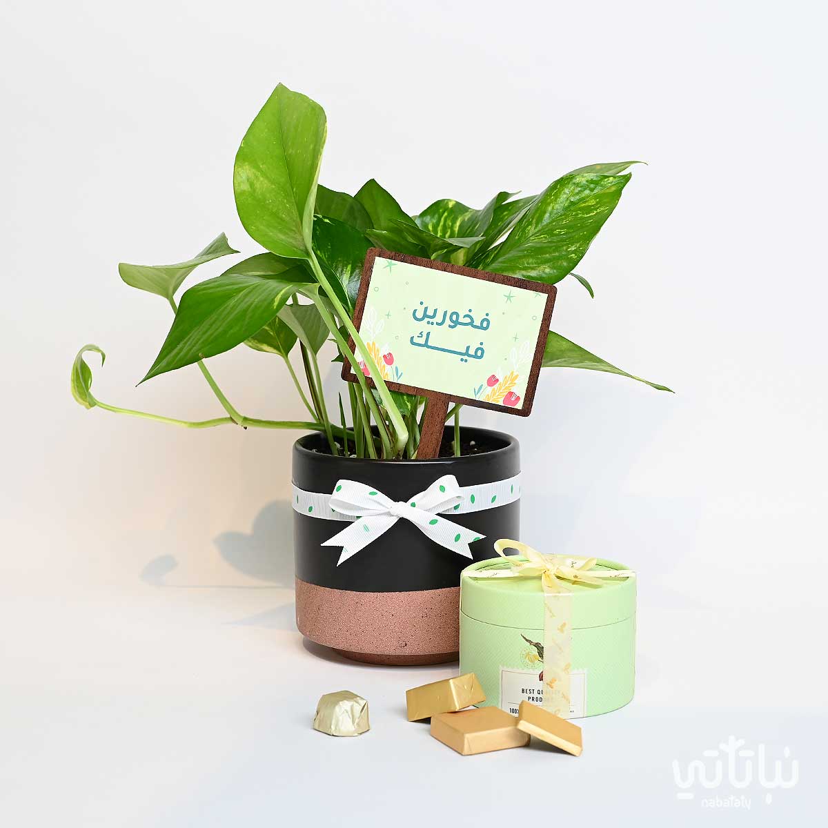 هدية فخورين فيك نبتة البوتس وتشوكلت مغلف