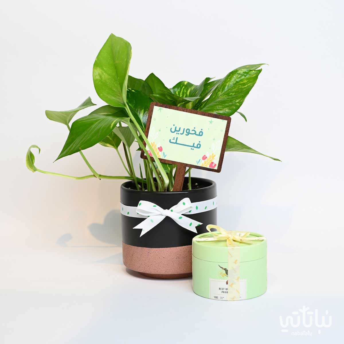 هدية فخورين فيك نبتة البوتس وتشوكلت مغلف