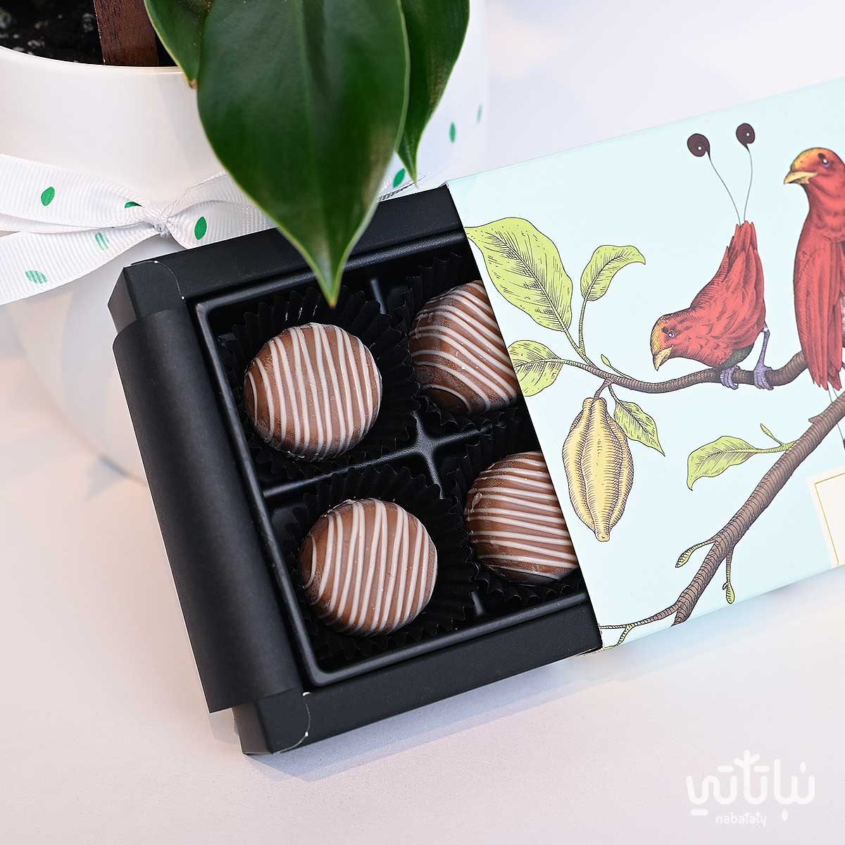 ٤ قطع تشوكلت بلجيكي من أنوش