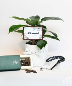 هدية مبروك نبتة فيلوديندرون و سبحة وعود