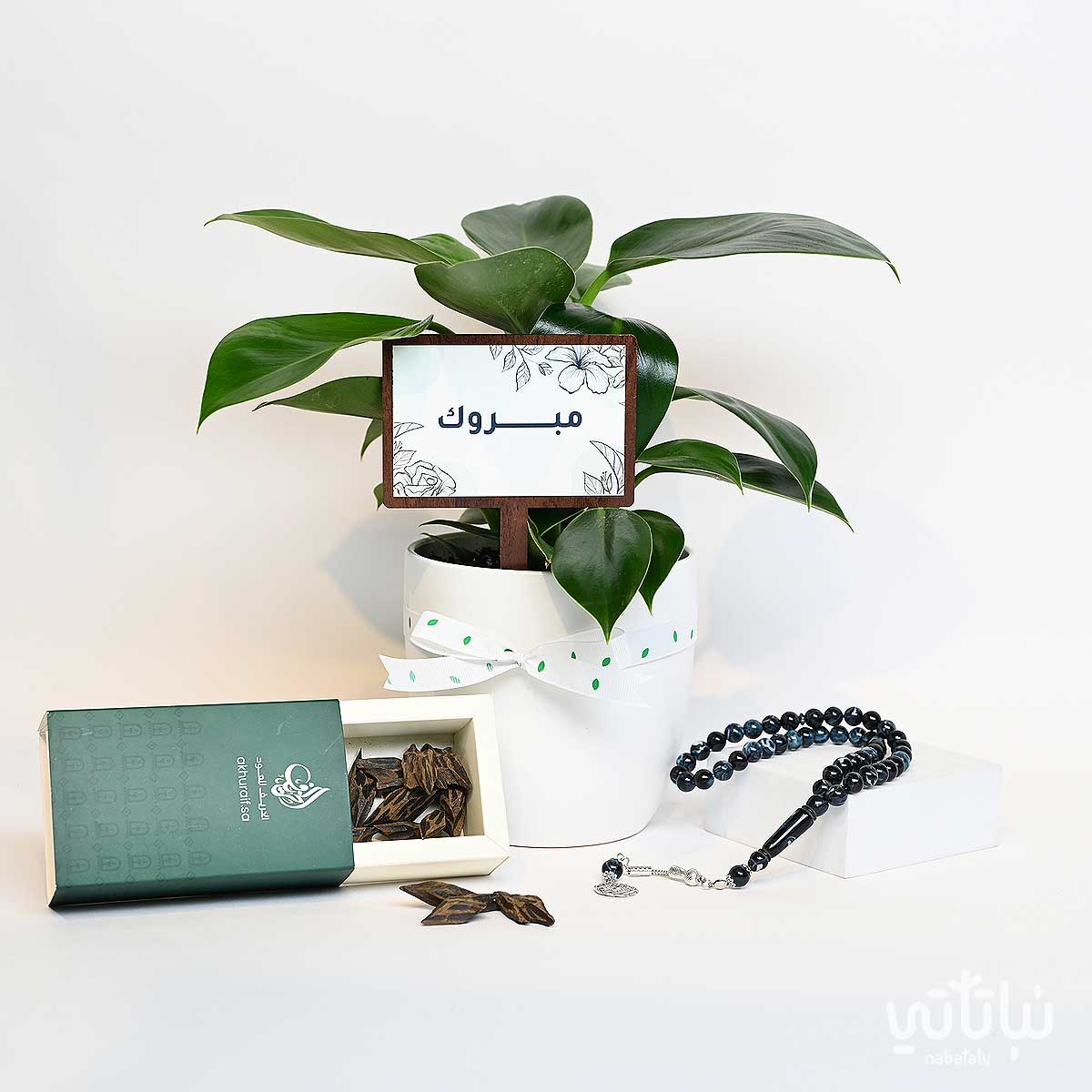 هدية مبروك نبتة فيلوديندرون و سبحة وعود