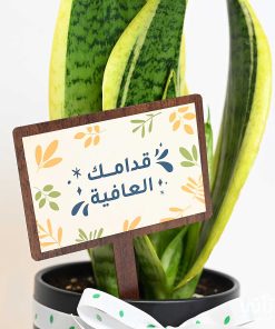 تغريسة خشبية بعبار قدامك العافية