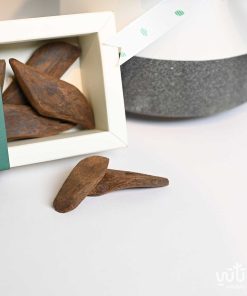 هدية منزل مبارك نبتة الاجلونيما و عود موروكي