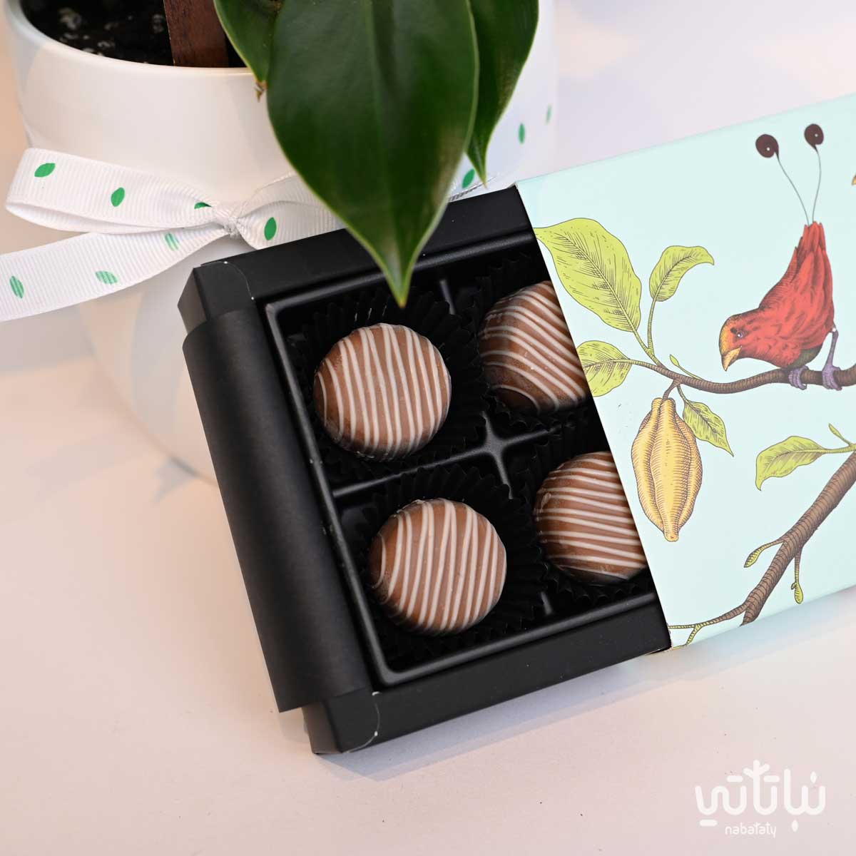 ٤ قطع تشوكلت بلجيكي من أنوض