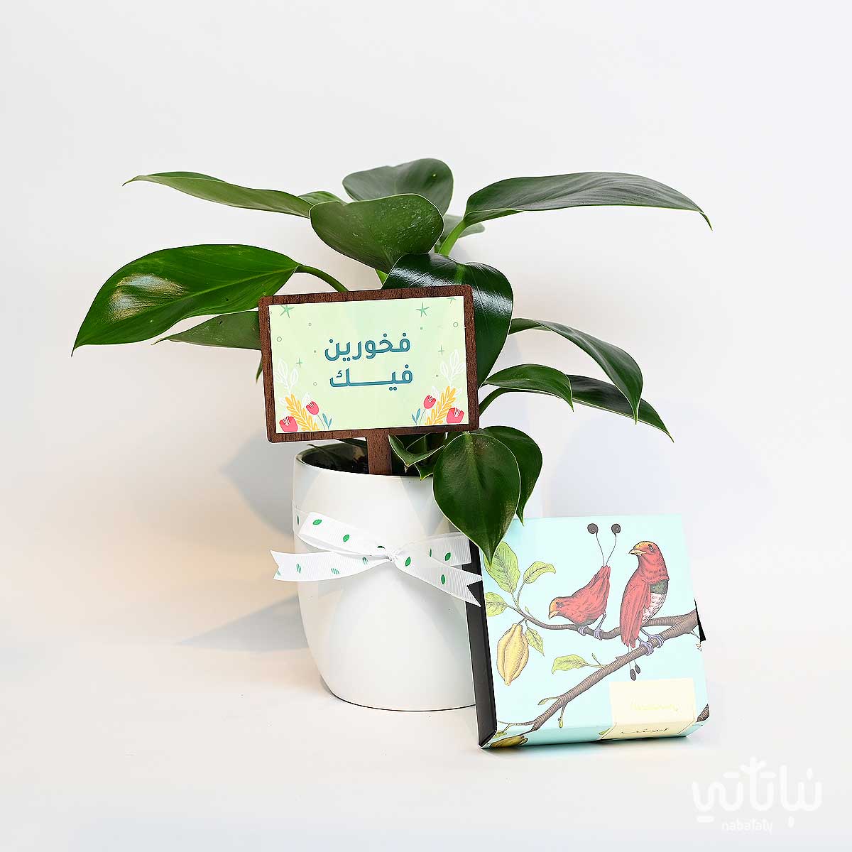 هدية فخورين فيك نبتة فيلوديندرون و تشوكلت بلجيكي