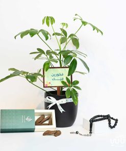 هدية فخورين فيك نبتة شفليرا و سبحة