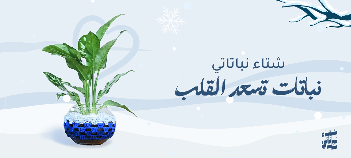 هدايا شتاء نباتاتي