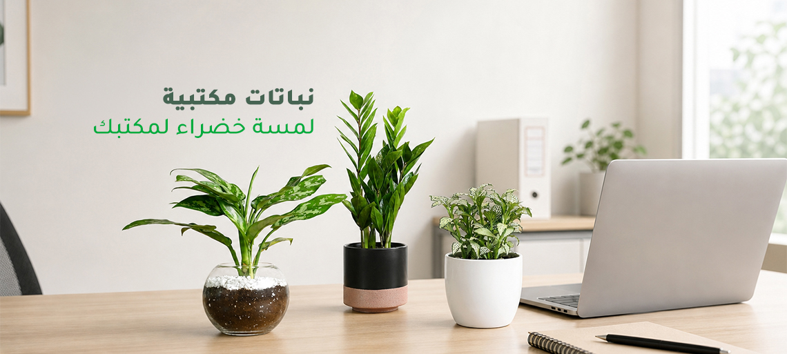 نباتات مكتبية
