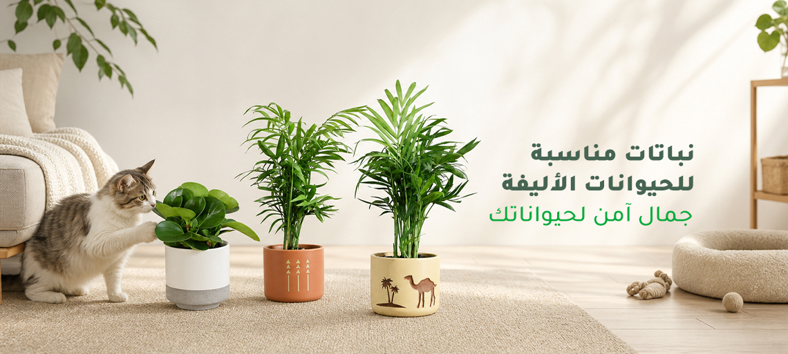 نباتات مناسبة للحيوانات الأليفة