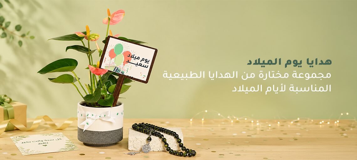 يوم الميلاد