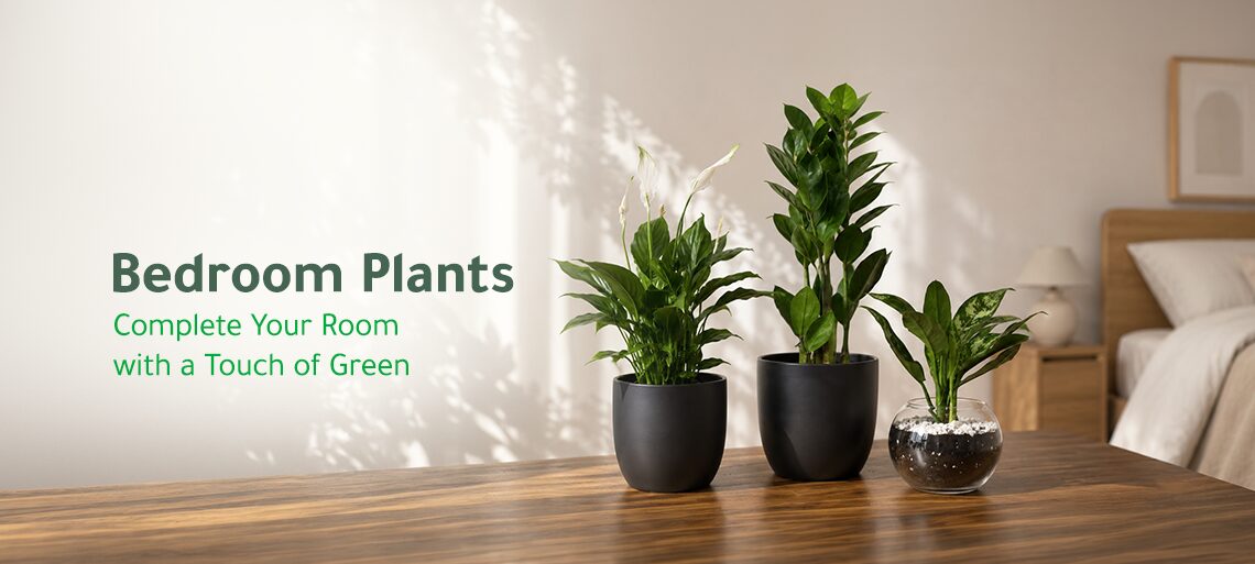 Bedroom Plants