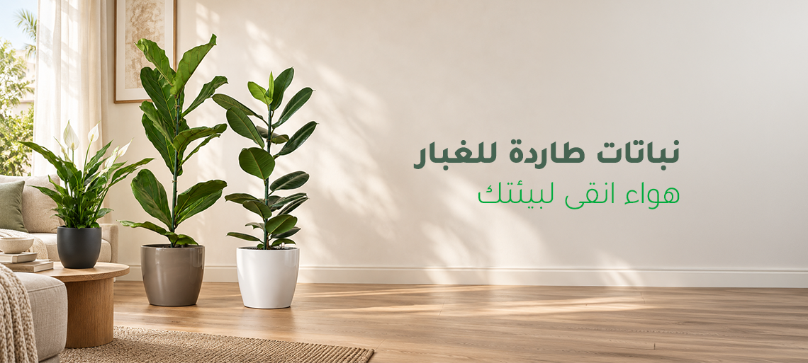 نباتات طاردة للغبار